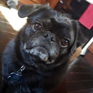 Meet your Posher, Lori